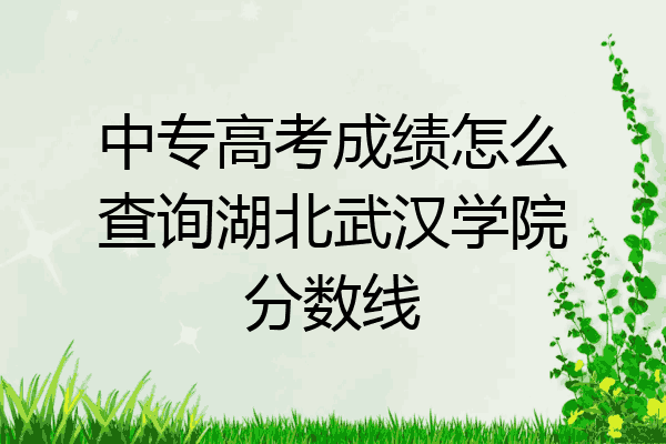 中专高考成绩怎么查询湖北武汉学院分数线