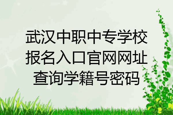 武汉中职中专学校报名入口官网网址查询学籍号密码