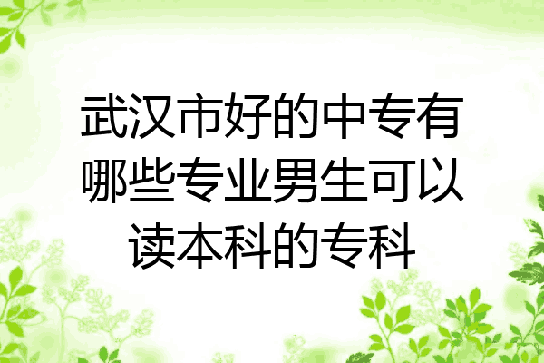武汉市好的中专有哪些专业男生可以读本科的专科