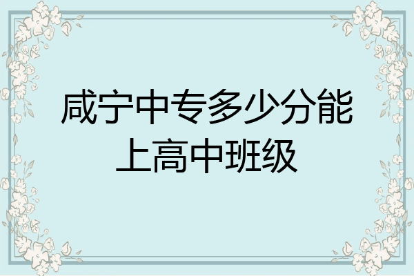咸宁中专多少分能上高中班级