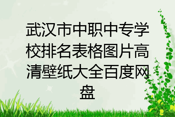 武汉市中职中专学校排名表格图片高清壁纸大全百度网盘