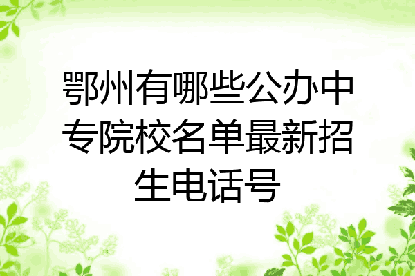 鄂州有哪些公办中专院校名单最新招生电话号