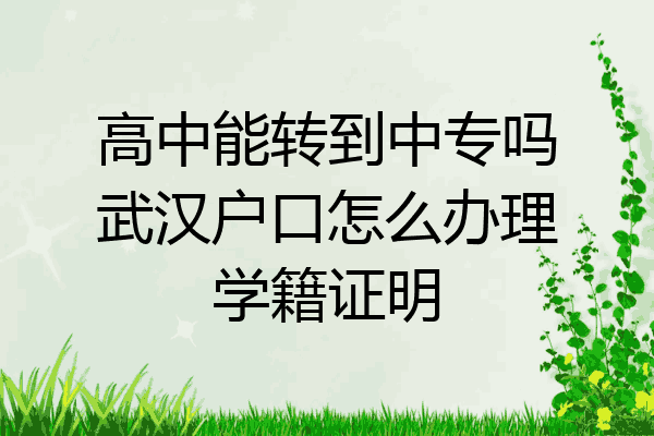 高中能转到中专吗武汉户口怎么办理学籍证明
