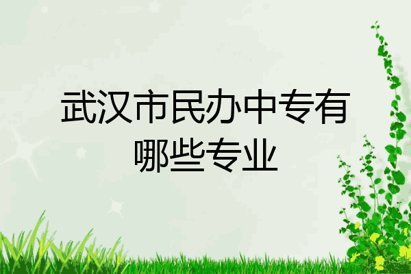 武汉市民办中专有哪些专业