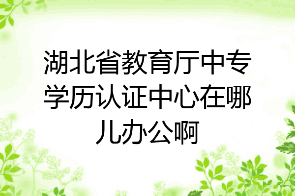 湖北省教育厅中专学历认证中心在哪儿办公啊