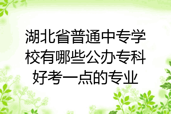 湖北省普通中专学校有哪些公办专科好考一点的专业