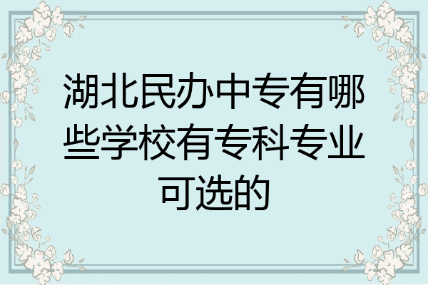 湖北民办中专有哪些学校有专科专业可选的