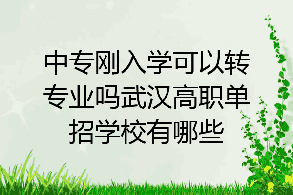 中专刚入学可以转专业吗武汉高职单招学校有哪些