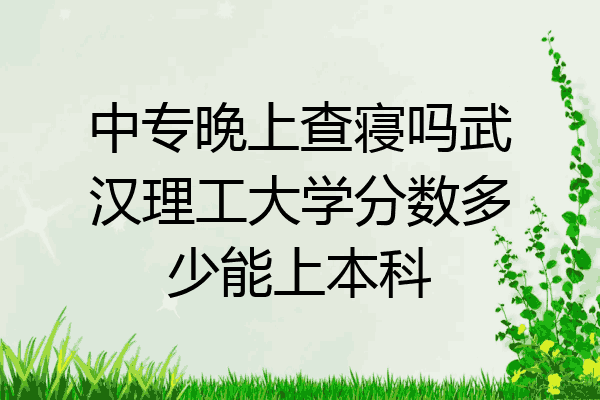 中专晚上查寝吗武汉理工大学分数多少能上本科