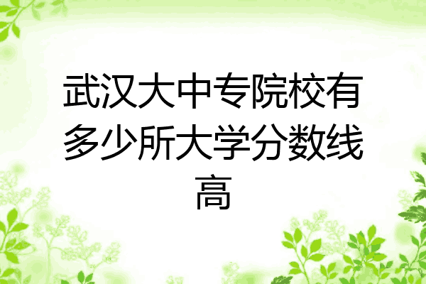 武汉大中专院校有多少所大学分数线高