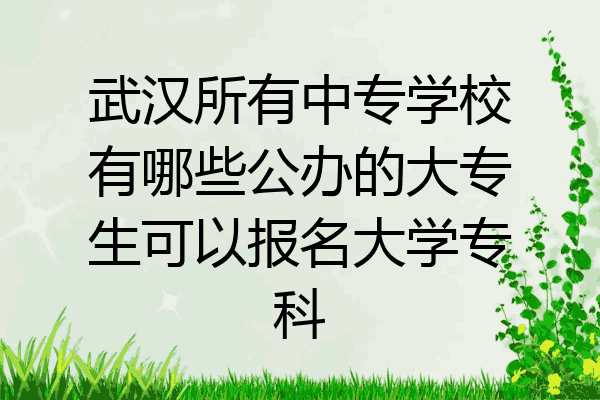 武汉所有中专学校有哪些公办的大专生可以报名大学专科