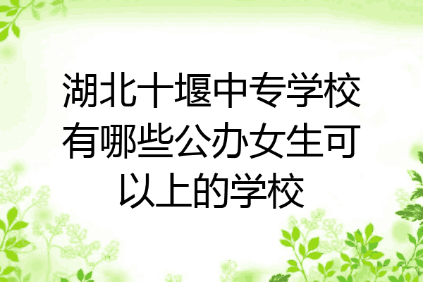 湖北十堰中专学校有哪些公办女生可以上的学校