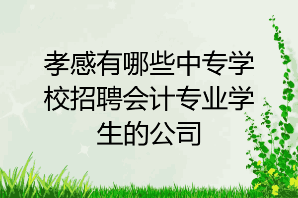 孝感有哪些中专学校招聘会计专业学生的公司