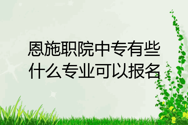 恩施职院中专有些什么专业可以报名