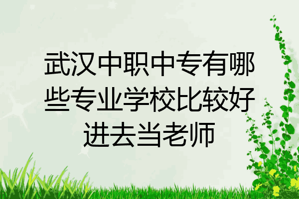 武汉中职中专有哪些专业学校比较好进去当老师