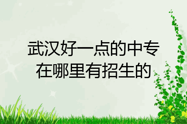 武汉好一点的中专在哪里有招生的