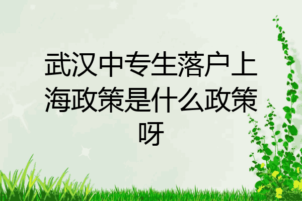 武汉中专生落户上海政策是什么政策呀