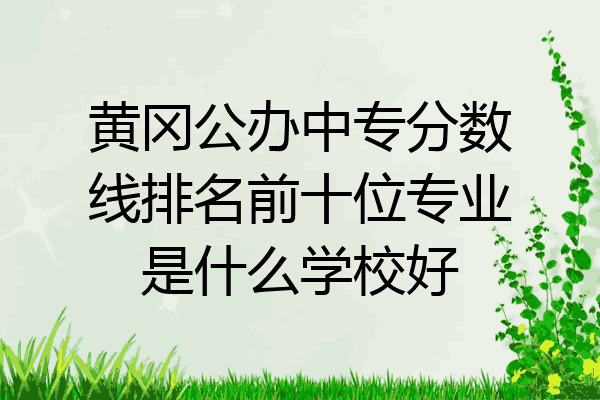 黄冈公办中专分数线排名前十位专业是什么学校好