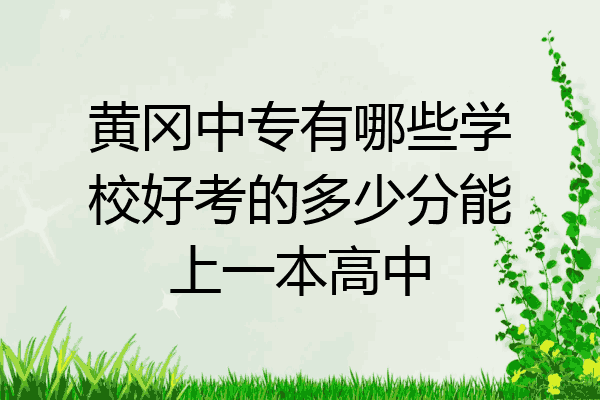 黄冈中专有哪些学校好考的多少分能上一本高中