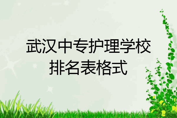 武汉中专护理学校排名表格式