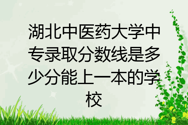 湖北中医药大学中专录取分数线是多少分能上一本的学校