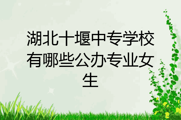 湖北十堰中专学校有哪些公办专业女生