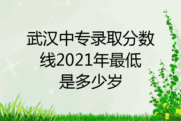 武汉中专录取分数线2021年最低是多少岁
