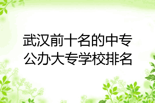 武汉前十名的中专公办大专学校排名