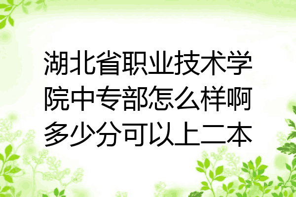 湖北省职业技术学院中专部怎么样啊多少分可以上二本