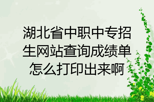 湖北省中职中专招生网站查询成绩单怎么打印出来啊