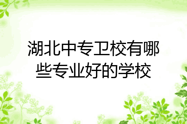湖北中专卫校有哪些专业好的学校