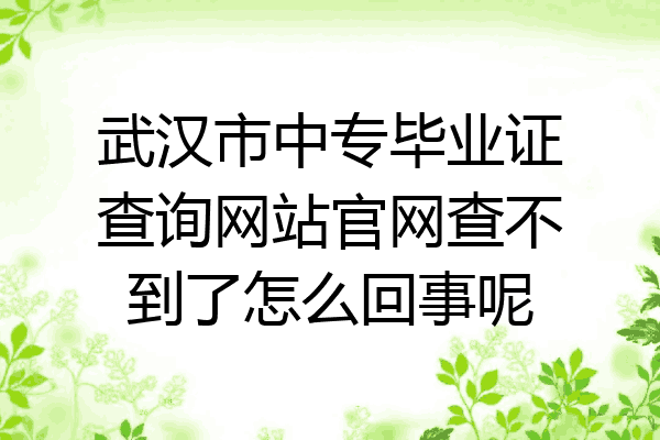 武汉市中专毕业证查询网站官网查不到了怎么回事呢