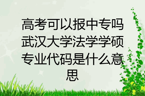 高考可以报中专吗武汉大学法学学硕专业代码是什么意思