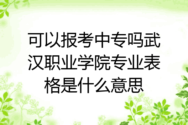 可以报考中专吗武汉职业学院专业表格是什么意思