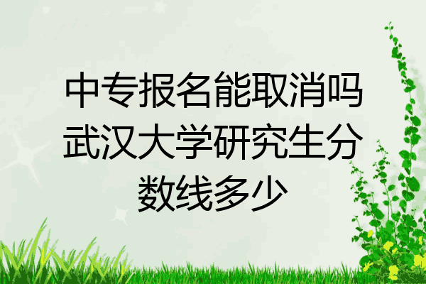 中专报名能取消吗武汉大学研究生分数线多少