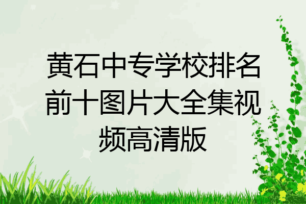 黄石中专学校排名前十图片大全集视频高清版