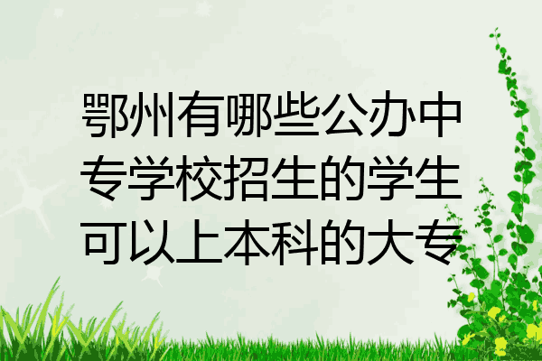 鄂州有哪些公办中专学校招生的学生可以上本科的大专