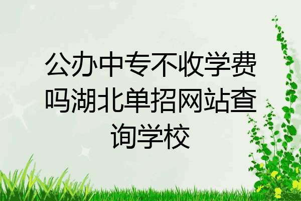 公办中专不收学费吗湖北单招网站查询学校