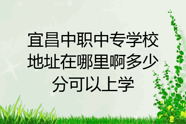 宜昌中职中专学校地址在哪里啊多少分可以上学