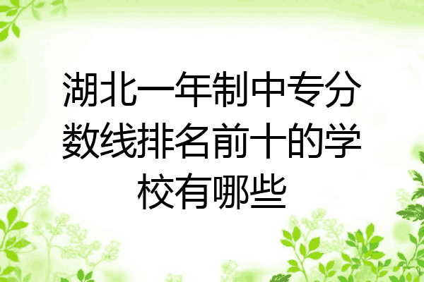 湖北一年制中专分数线排名前十的学校有哪些
