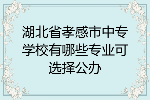 湖北省孝感市中专学校有哪些专业可选择公办