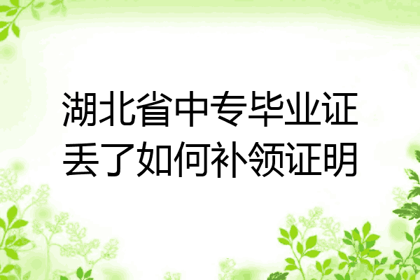 湖北省中专毕业证丢了如何补领证明