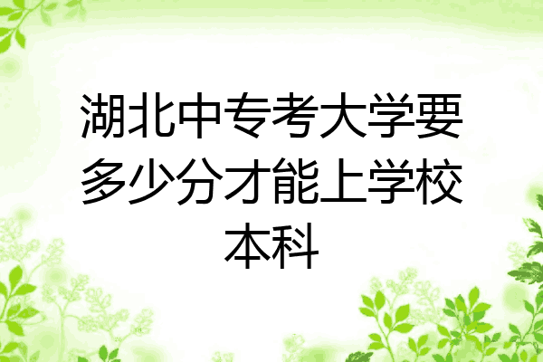 湖北中专考大学要多少分才能上学校本科