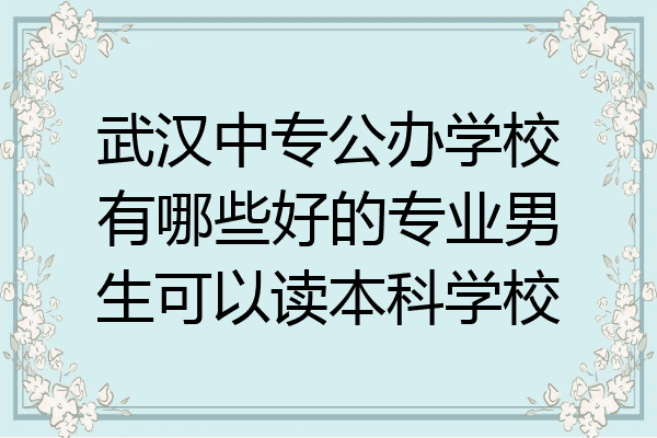 武汉中专公办学校有哪些好的专业男生可以读本科学校