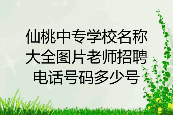仙桃中专学校名称大全图片老师招聘电话号码多少号
