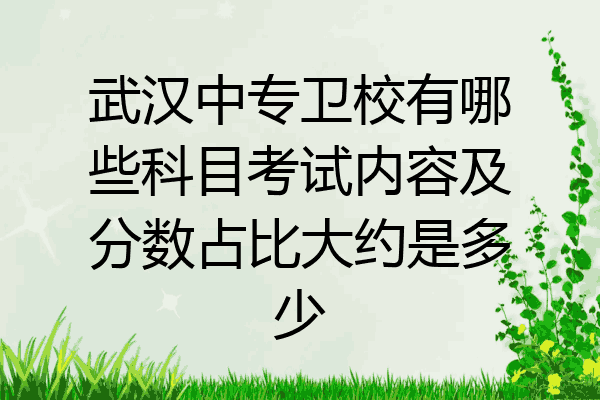 武汉中专卫校有哪些科目考试内容及分数占比大约是多少
