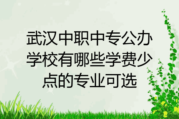 武汉中职中专公办学校有哪些学费少点的专业可选
