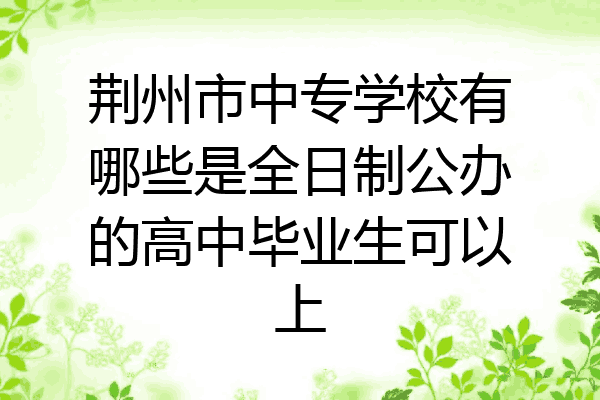 荆州市中专学校有哪些是全日制公办的高中毕业生可以上