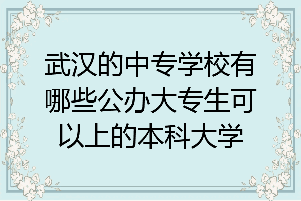 武汉的中专学校有哪些公办大专生可以上的本科大学