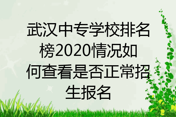 武汉中专学校排名榜2020情况如何查看是否正常招生报名